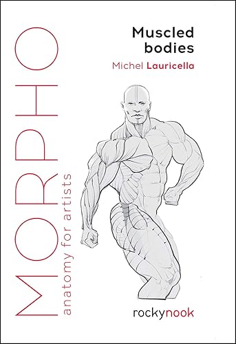 Morpho: Muscled Bodies: Anatomy for Artists (Morpho: Anatomy for Artists, 7)