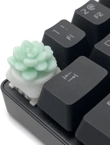 Amazon.com: Capsmiths Succulent Artisan Keycap - Echeveria - MX Mechanical Gaming Keyboards (Purple) : Video Games