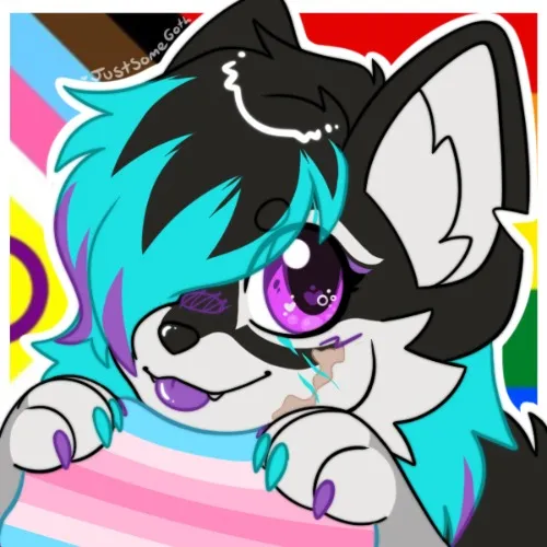 Seattle Voice Lab -Ansu