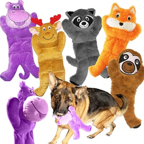 5 Pack Dog Toys Assortment Value Bundle Dog Plush Toys Dog Squeak Toys Dog Squeaky Toys Assortment
