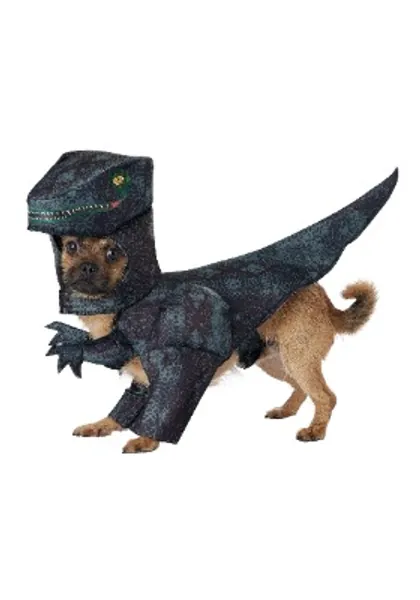 Dog Pupasaurus Rex Costume