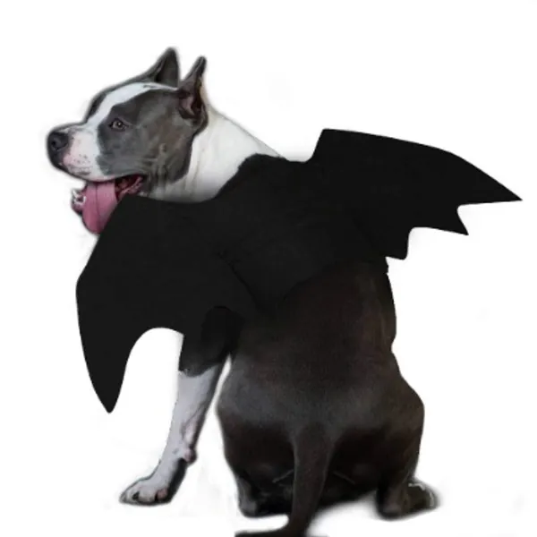 Bat Wings Dog Bat Costume
