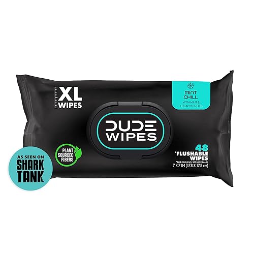 DUDE Wipes - Flushable Wipes - 1 Pack, 48 Wipes - Mint Chill Extra-Large Adult Wet Wipes - Eucalyptus & Tea Tree Oil - Sewer and Septic Safe - Mint - 48 Count (Pack of 1)