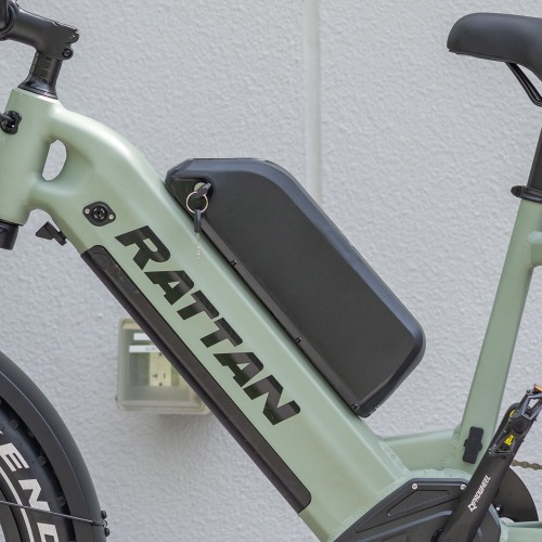 20AH Battery (For Quercus / Sequoia / Pinus Model) | Additional Battery (Dual Battery System)