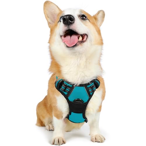 rabbitgoo Dog Harness, No-Pull Pet Harness with 2 Leash Clips, Adjustable Soft Padded Dog Vest, Reflective No-Choke Pet Oxford Vest with Easy Control Handle for Small Dogs, Beige, S - Medium - Teal