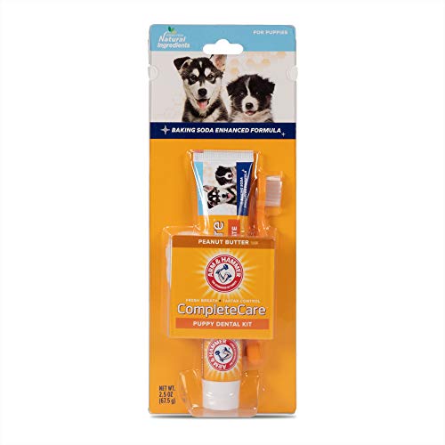 Arm & Hammer for Pets Complete Care Puppy Dental Kit | Includes 2.5 oz Dog Toothpaste in Peanut Butter Flavor, Small Dog Toothbrush for Small Dogs and Puppies, and Microfiber Finger Brush - Peanut Butter - 2.5 Ounce (Pack of 1)