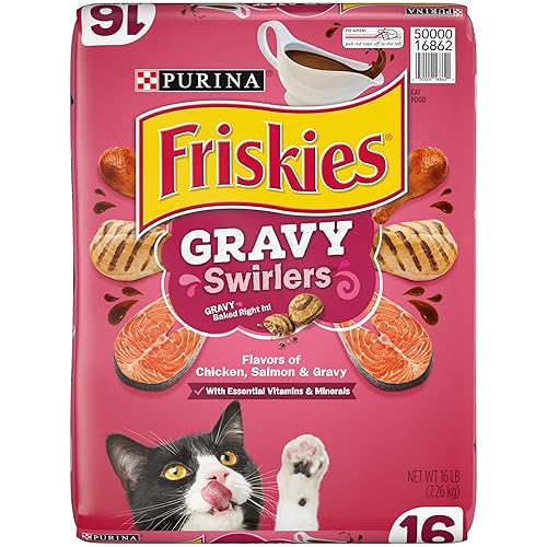 Purina Friskies Dry Cat Food, Gravy Swirlers - 16 lb. Bag - Chicken, Salmon - 16 Pound (Pack of 1)