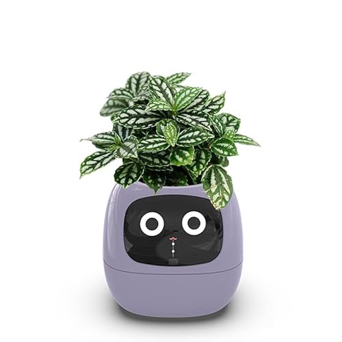 Itigoitie Smart Flowerpots,Smart Pet Planter,Ai Planter,Intelligent Flowerpots,Multiple Expressions,7 Smart Sensors, and Ai Chips Make Raising Plants Easy and Fun for Living Room,Plant-free(Purple) - Purple