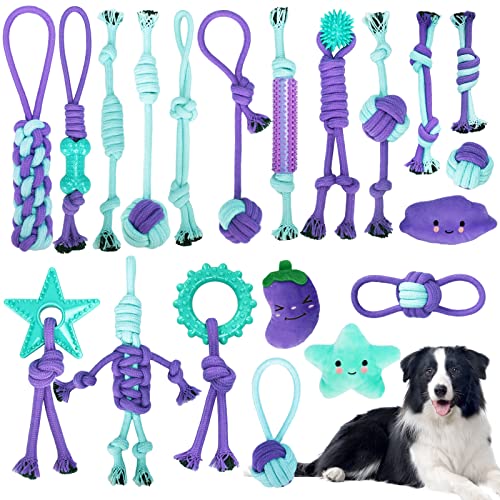 TAVADA Hundespielzeug,Hundespielzeug Set,20 Stück Kauen Hundespielzeug Set für Kleine Hunde/Mittlere,Welpen Spielzeug für Hunde ​Zahnpflege,aus Natürlicher Baumwolle