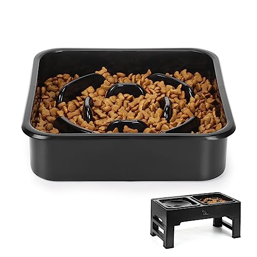 PETTOM Anti Schling Napf Hund für Futternapf Höhenverstellbar, Hundenapf Langsam Fressen - 20*20*5.3cm