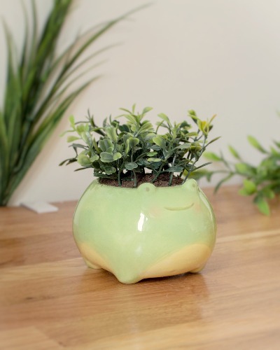 Frog planter