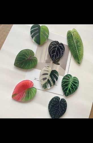 Plant leaves fridge magnets