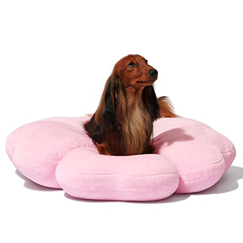 VETRESKA Dog Beds for Small Dogs - Round Cat Beds for Indoor Cats, Washable Pet Bed Bolster for Puppy and Kitten, Cute Sakura Plush Dog Cushion, 26 Inches Cherry Blossom - 26.0"L x 26.0"W x 6.0"Th - Cherry blossom pink