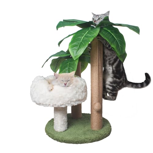 Cat Scratching Post Palm Tree with Bed Cloud Cat Tree for Indoor Large Cats 3 Scratching Poles Sisal Hanging Balls for Cat Perch Cat Scratcher for Kitten and Adult Cats Small Cat Tower Climber - Cloud - White