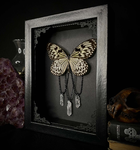 White Nymph Butterfly w/ Crystals | Default Title