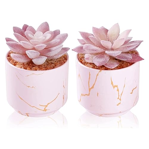 ZENIDA Succulent Artificial Plants,Cute Fake Succulents in 2 Pink Ceramic Pots,Small Fake Plants for Office,Table,Desk,Bathroom, Bedroom,Aesthetic Room Shelves Decor,Desk Decorations for Women Office - 2 - Pink