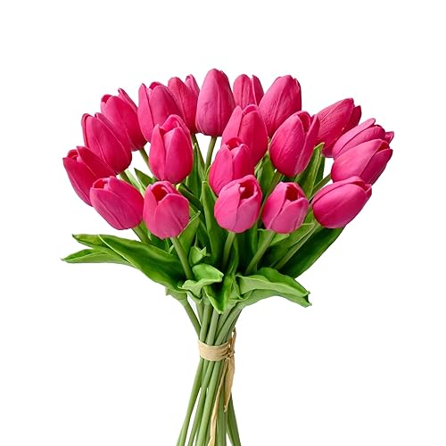 Mandy's 20pcs Hot Pink Artificial Tulip Silk Fake Flowers Fuchsia Flowers 13.5" for Mother's Day Easter Valentine’s Day Gifts in Bulk Home Kitchen Wedding Decorations - Hot Pink