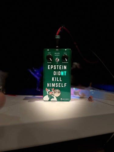Epstein Didn't Kill Himself Fuzz Pedal — Acorn Amplifiers | Effects Pedals & Tube Amplifiers
