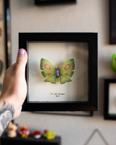 Dustox Pokémon Taxidermy - 6x6 Shadowbox | Standard