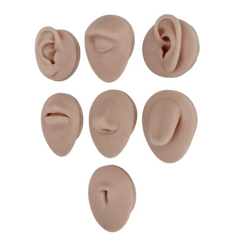 Silicone Piercing Body Model for Piercing Practice, Soft Silicone Ear Mouth Nose Eye Tongue Navel Model with Display Rack (Dark Skin Colour) - Dark Skin Colour