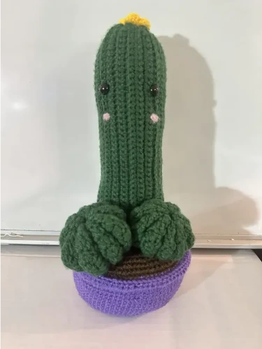 Handmade Cactus Crochet Plush from @Raven_Blackhart