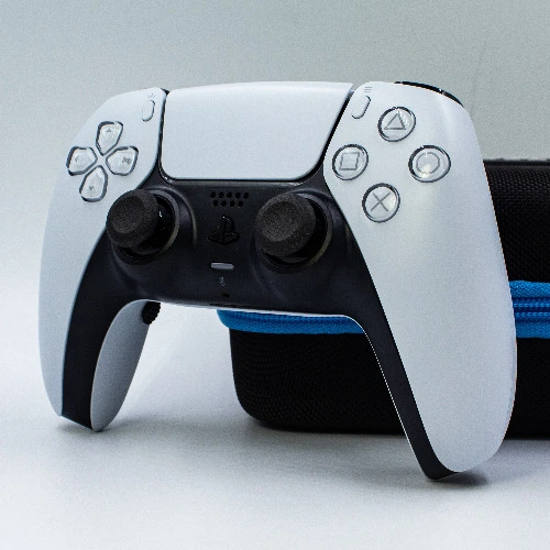 Battle Beaver Custom PS5 Controller