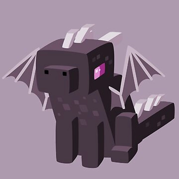 Throne | Kesh Nest | Minecraft Baby Ender Dragon | Throw Blanket