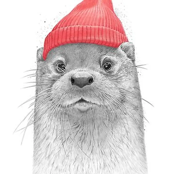 Sea otter | Classic T-Shirt