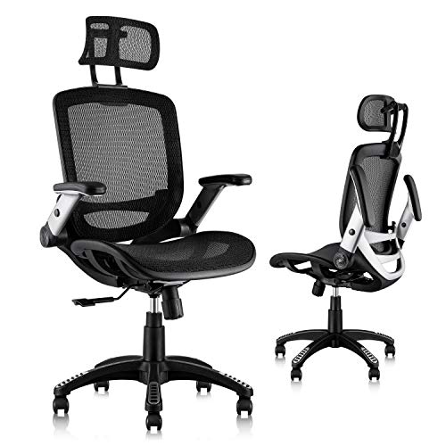 GABRYLLY Ergonomic Mesh Office Chair, High Back Desk Chair - Adjustable Headrest with Flip-Up Arms, Tilt Function, Lumbar Support and PU Wheels, Swivel Computer Task Chair - Black