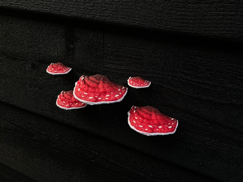 stick-on Wall Mushrooms/Shelf fungi | Free Shipping