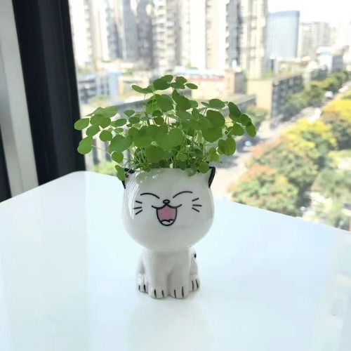 White Ceramic Cute Cat Cartoon Plant Pot (Various Expressions) - Happy
