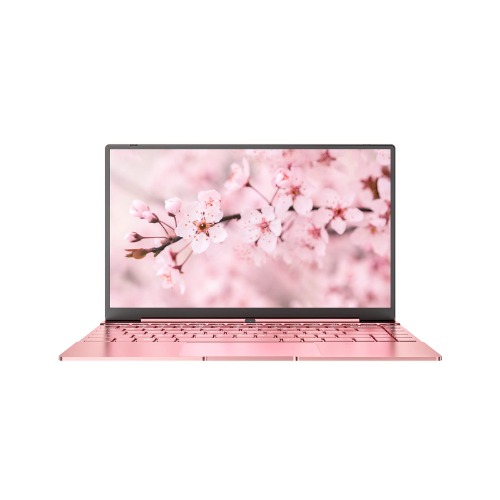 Daysky Windows Laptops V14S, Intel Jasper Lake N5095 Processor, 12GB RAM, 14.1" FHD Display, Backlit Keyboard, Full Metal Body, Ultra Thin and Portable, USB 3.0, Type C(12G+256G, Pink)