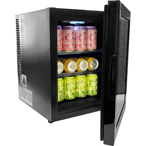 Mini Fridge 30 Liter Black