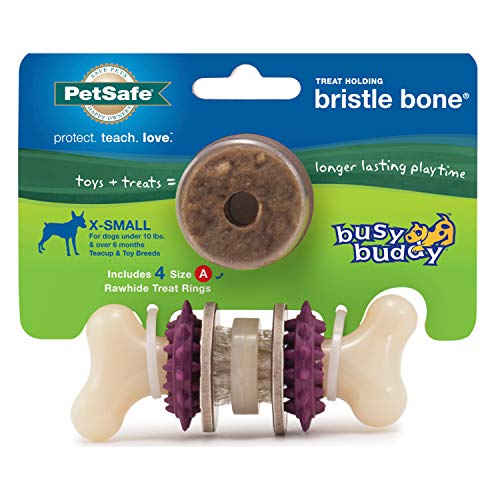 PetSafe Busy Buddy Bristle Bone Dog Toy - Treat-Holding Toy for Small Dogs - Treat Rings Included - Rigorously Tested Ingredients - Purple, Extra Small