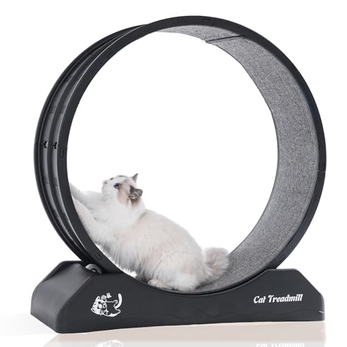 QOILITY Cat Wheel - Easy to Install Cat Wheels for Indoor Cats, Promotes Fitness and Health - Suitable for Most Cats - Black - Medium - Black