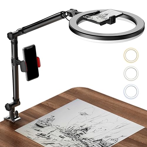 LUOLED Ring Light with Stand and Phone Holder, USB 10'' Ring Light for Desk, Overhead Camera Mount with Ring Light, Desktop Ring Light with Clamp for Photography/Makeup/Live Stream Video/YouTube