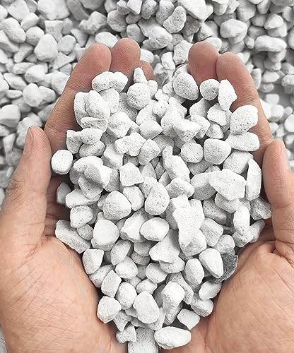 20QT Organic Perlite Horticultural Soil Amendment for Plants and Enhanced Drainage Enhanced Growth(5-8mm) - 20QT - Large Perlite