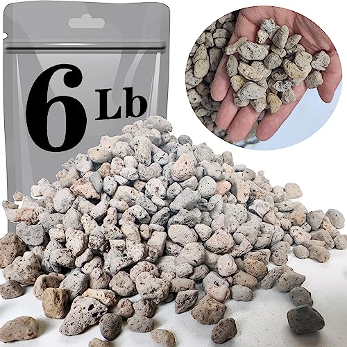 Voulosimi Garden Pumice Rock Horticultural Cactus Bonsai Succulent Soil Additive for Plants, Landscaping, Vase Fillers (6 LB, 1/2 inch) - 6 LB - 1/2 inch