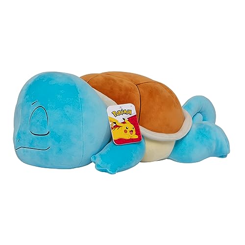 Pokémon Sleeping Squirtle