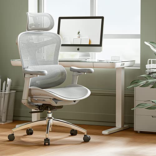 SIHOO Doro C300 Ergonomic Office Chair with Ultra Soft 3D Armrests, Dynamic Lumbar Support for Home Office Chair, Adjustable Backrest Desk Chair (White) - White