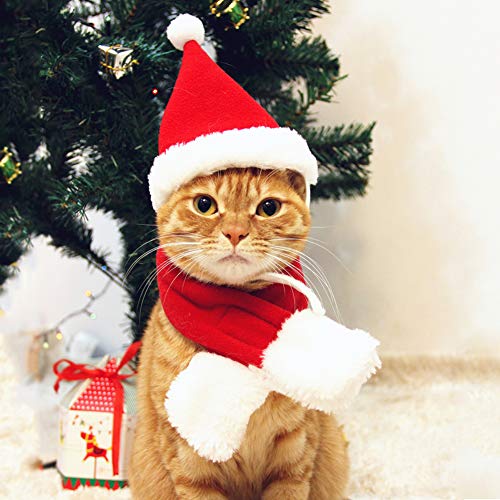 PETLESO Cat Santa Hat with Scarf, Christmas Hats for Cats Pet Santa Hat Christmas Costume for Cat Rabbit Puppy Doll, Red S - Christmas hat and Scarf