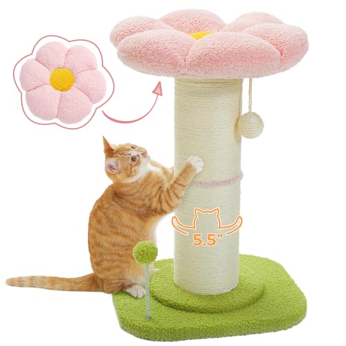 PEQULTI Flower Cat Scratching Post, Small Cat Tree, Tall Cat Scratcher for Indoor Cats with Super Thick Scratching Post [Dia=5.5''], Removable Flower Cat Bed, Cat Scratch Post with Spring Ball, Pink - Pink Flower
