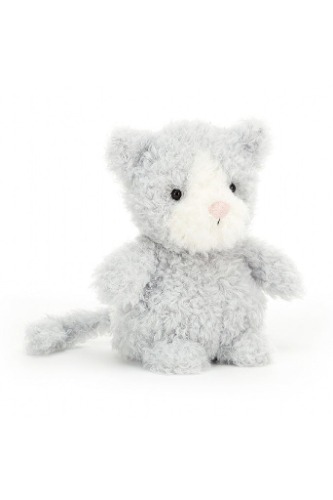 Little Lavender Grey Kitten