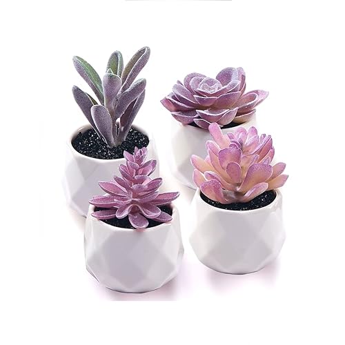 CADNLY Fake Succulent Plant Set - Artificial Desk Plants for Women Desk - Realistic Faux Succulents in Ceramic Pots - Mini Purple Decor for Bedroom Bathroom Office Shelf 4 Pack - Purple