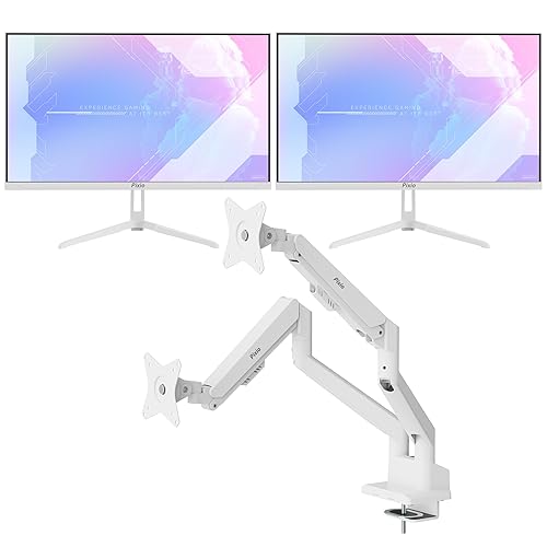 2 PX248 Wave Monitors and stand