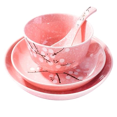 Whitenesser 4-Piece Dinnerware Set, Plate, Dish, Bowl, Spoon, Japanese Hand-painted Tableware set(Pink plum) - Pink