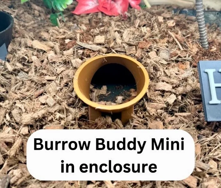 Burrow Buddy Snake Hide MINI