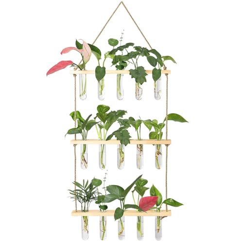 XXXFLOWER Wall Hanging Propagation Station with Wooden Stand 5 Glass Test Tubes 3 Tiered Planters Wall Terrarium for Home Office Plant Hanger Flower Vases Wall Decor Hydroponic Cuttings Beige - Beige - 15 Tube Vases