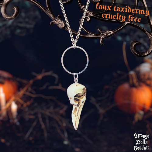 Raven skull necklace, Faux taxidermy, Witchy Gothic, Strange Dollz Boudoir