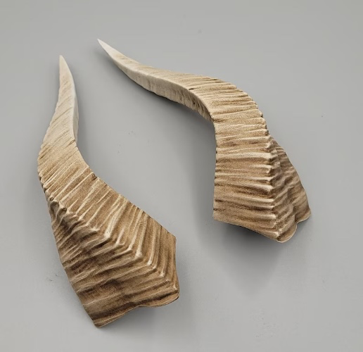 Twisted Demon Horns (Bone Natural)